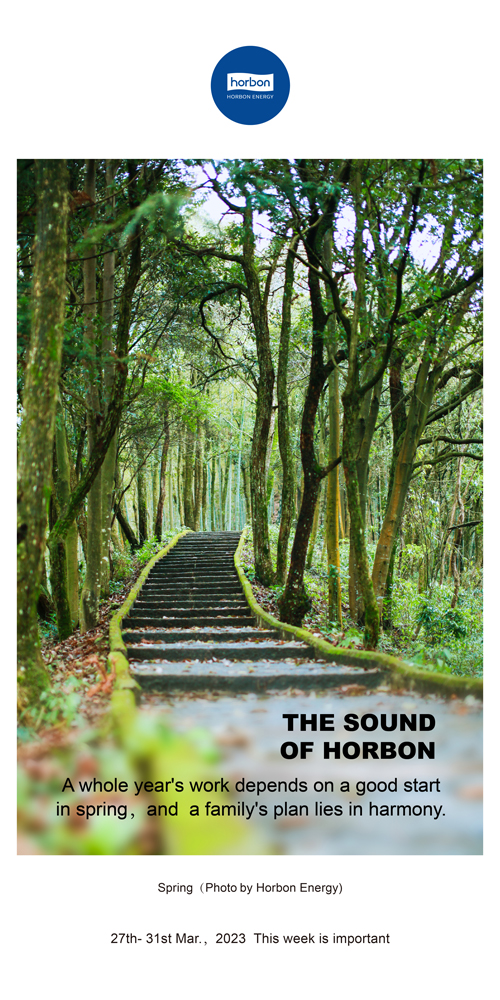 16805816423835241Npv.jpg 75-和之声(本周很主要)2022.3英文季度推送用.jpg