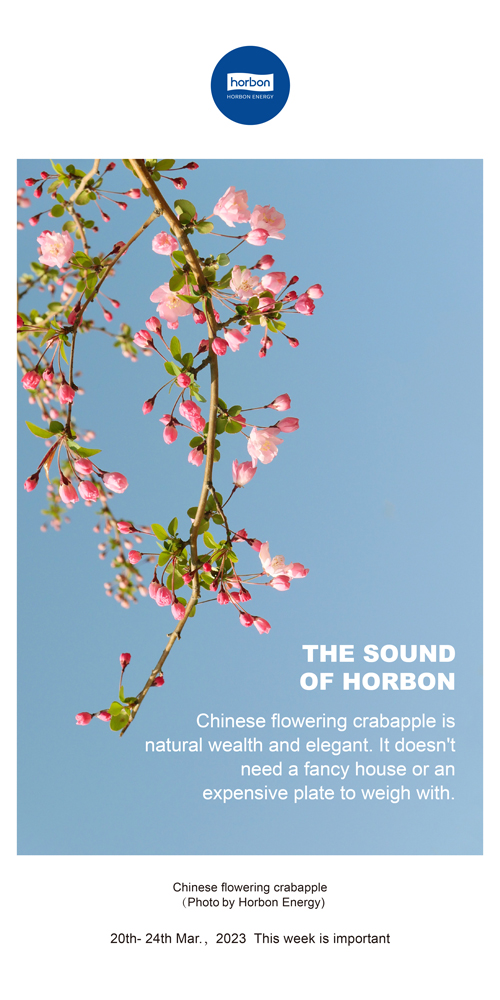 1680581656826254Rn4Y.jpg 74-和之声(本周很主要)2022.3季度推送用.jpg