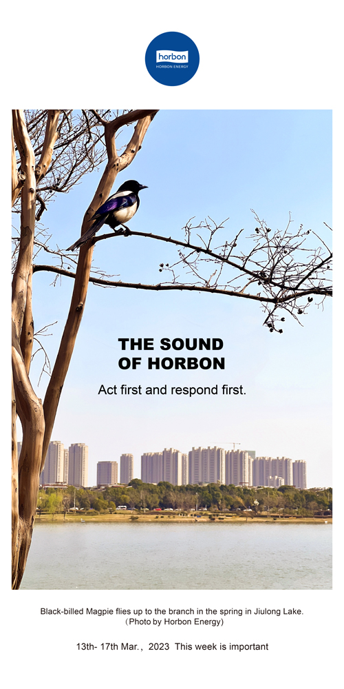 1680582078640474AhnR.jpg 73-和之声(本周很主要)2022.3季度推送用.jpg