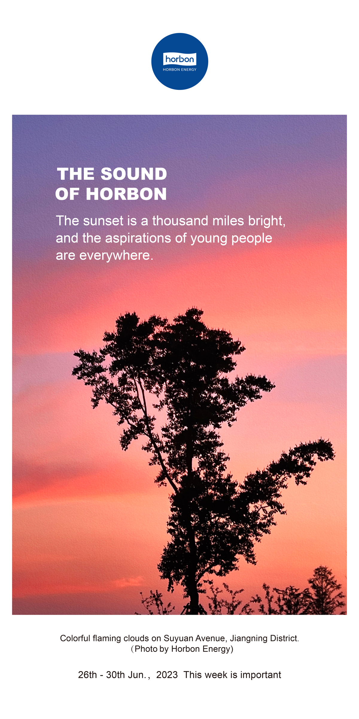 1688364623394446Op9u.jpg 1688364623394446Op9u.jpg