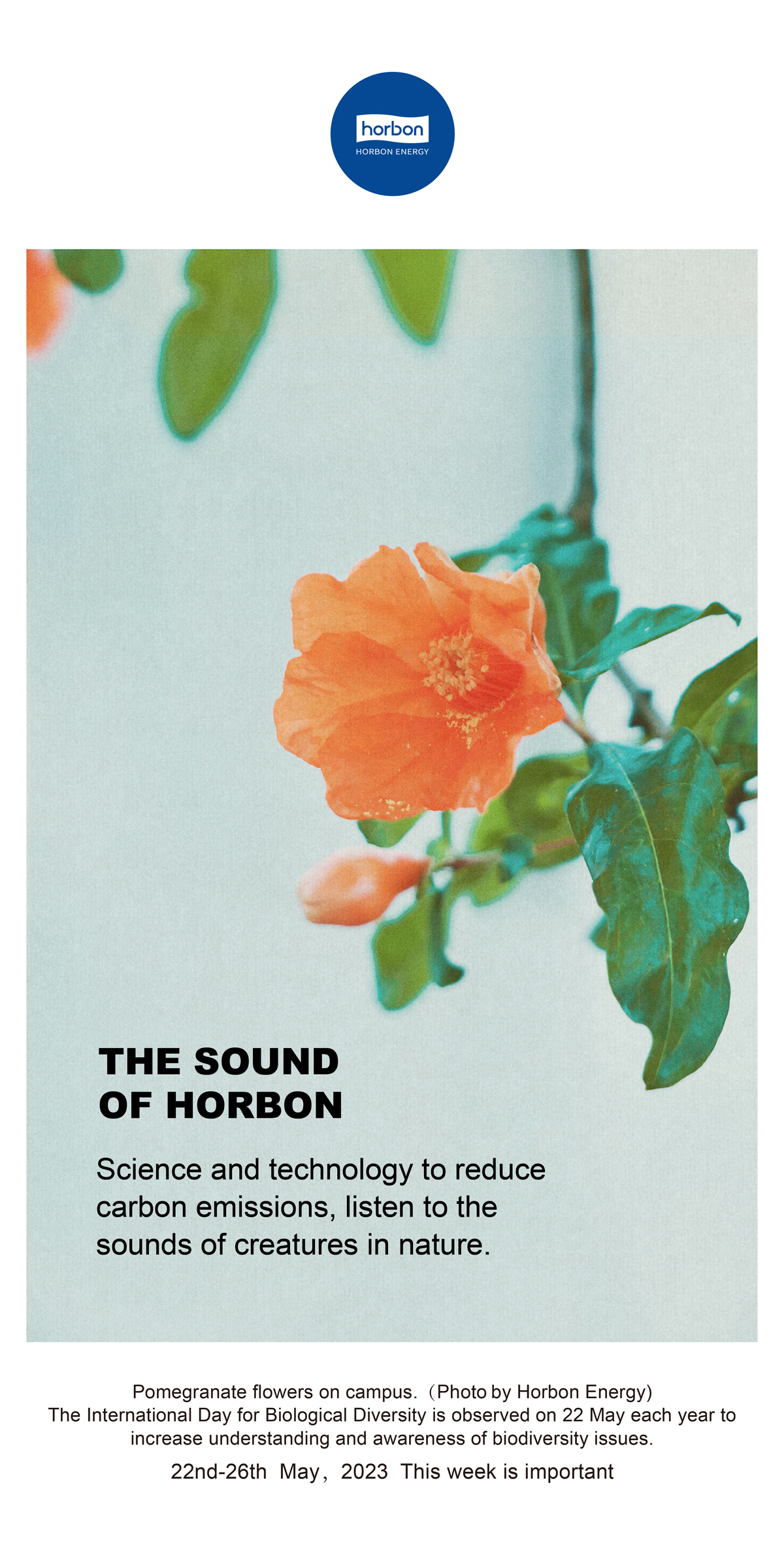 1688364801669072BU7F.jpg 1688364801669072BU7F.jpg