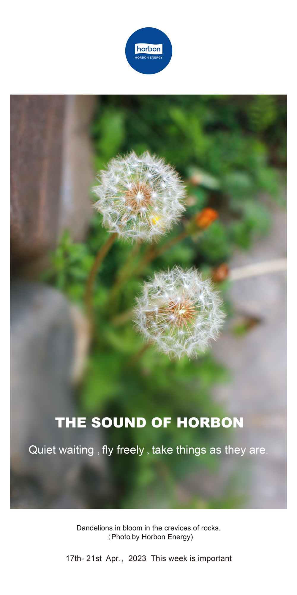 16883652197288073ljc.jpg 16883652197288073ljc.jpg