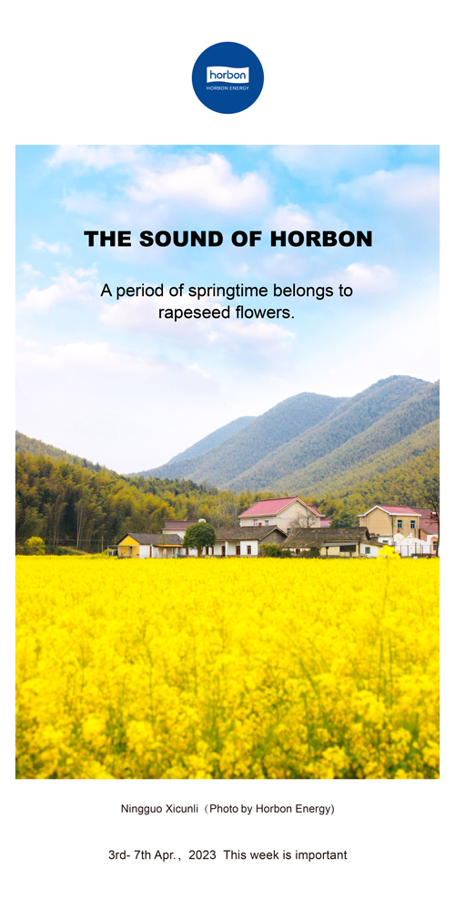 1688365387218288HuWr.jpg 76-和之声(本周很主要)2022.4.3-4333.jpg