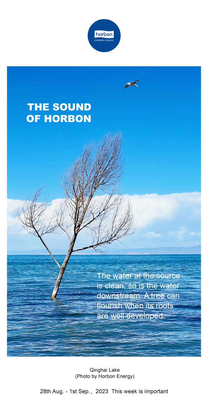 169664649022785783LY.jpg 169664649022785783LY.jpg