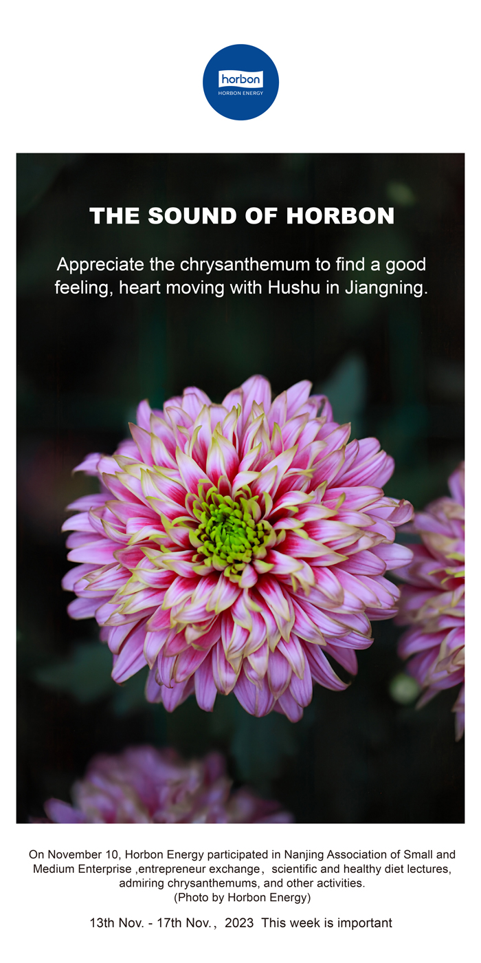 17041676867041622Blp.jpg 17041676867041622Blp.jpg