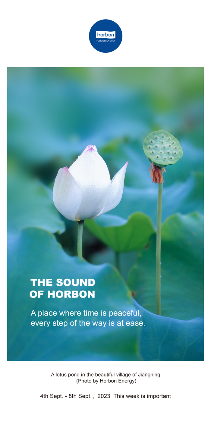 1704167844966657TTTk.jpg 1704167844966657TTTk.jpg