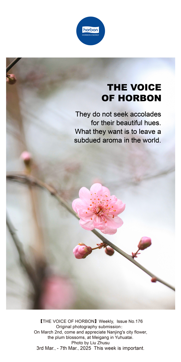 ����֮����(�ܵ�176�ڣ���Ҫ�˿����ɫ��������ֻ��������Ǭ��������Ӣ�ĵ�������������.jpg