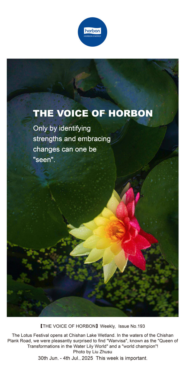 ����֮������׼���ơ�ӵ��ת�������Ż�������������������(�ܵ�193�ڣ�--2025.6Ӣ�ĵ�������������.jpg