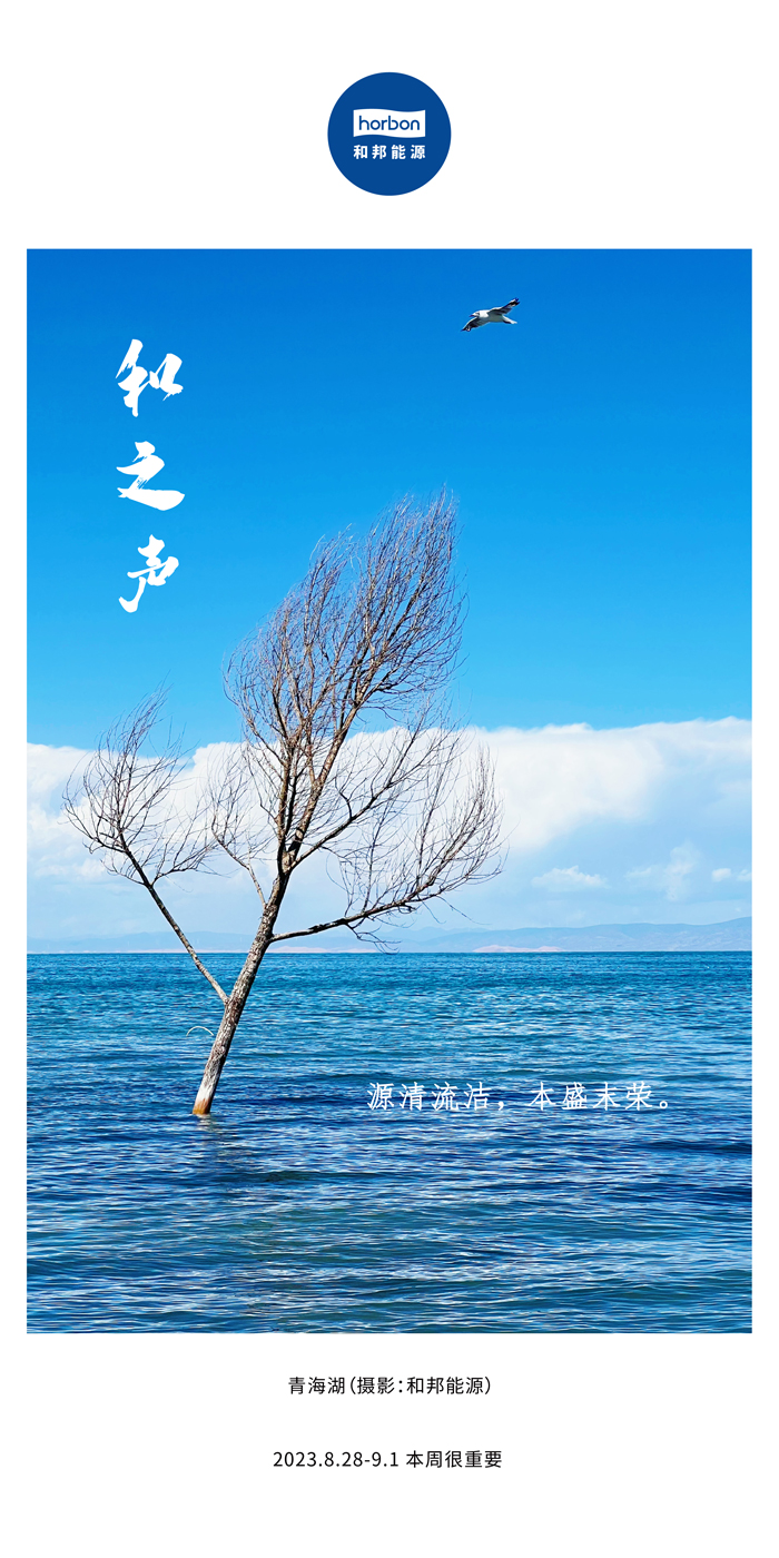 1696641667471485mfey.jpg 1696641667471485mfey.jpg