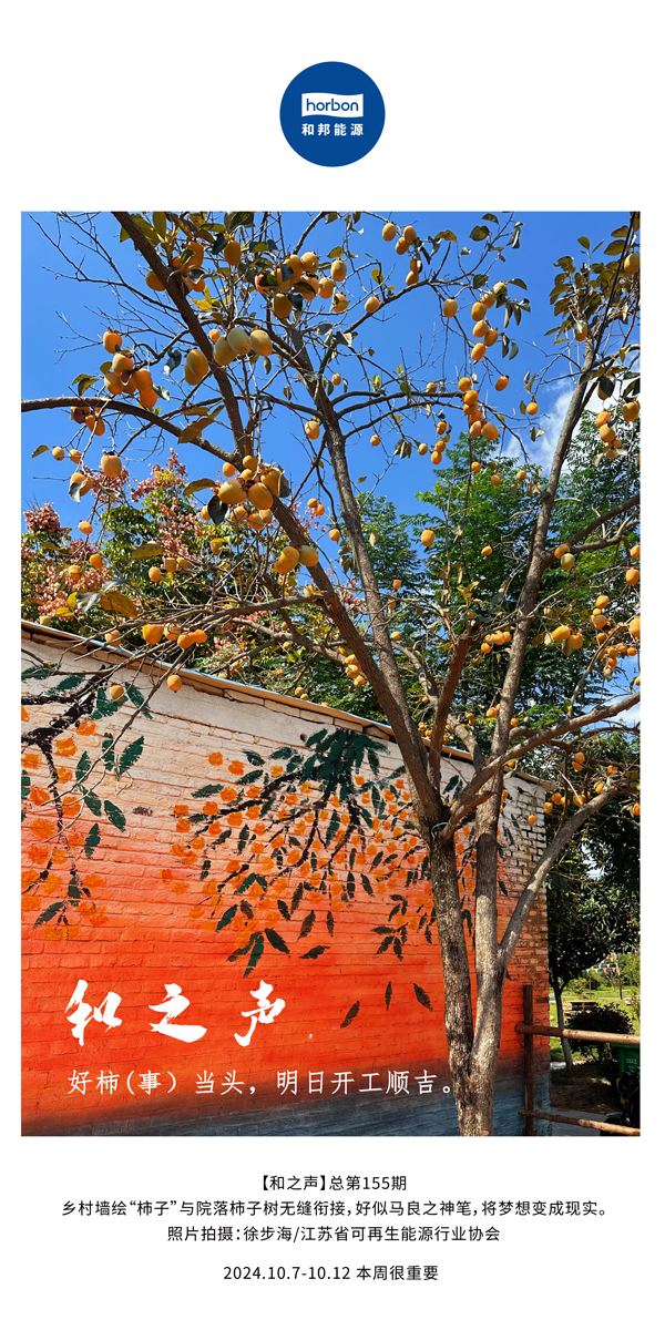 ����֮�����������£���ͷ�������������տ���˳����-(�ܵ�155�ڣ�-2024.10.7-10���ĸ�С����������.jpg